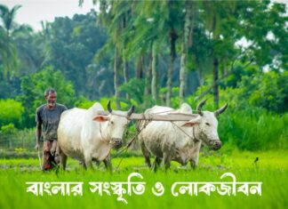 বাংলার সংস্কৃতি ও লোকজীবন Culture and folk life of Bengal