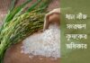 ধান বীজ সংরক্ষণ কৃষকের অধিকার Rice seed conservation is the farmer's right
